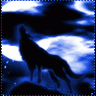 Night-Wolf